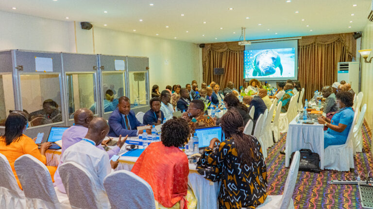 Administrative and Legal Affairs Committee Meeting, Libreville 2024